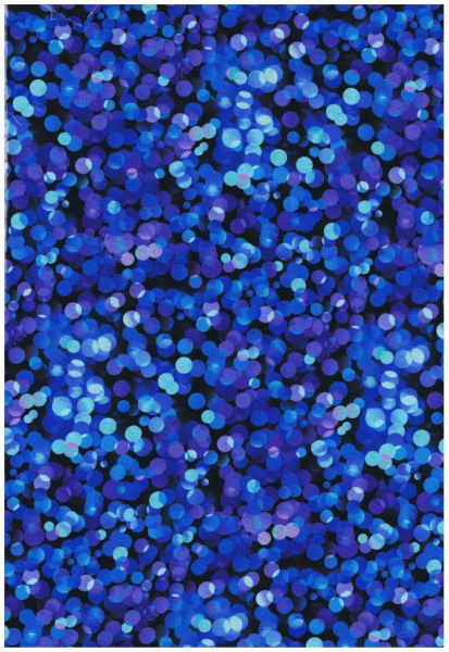 Butterfly magic navy